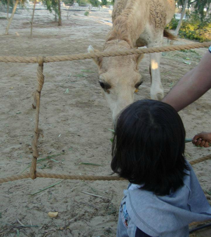 Al Areen Wildlife Sanctuary-Sakhir必去景点