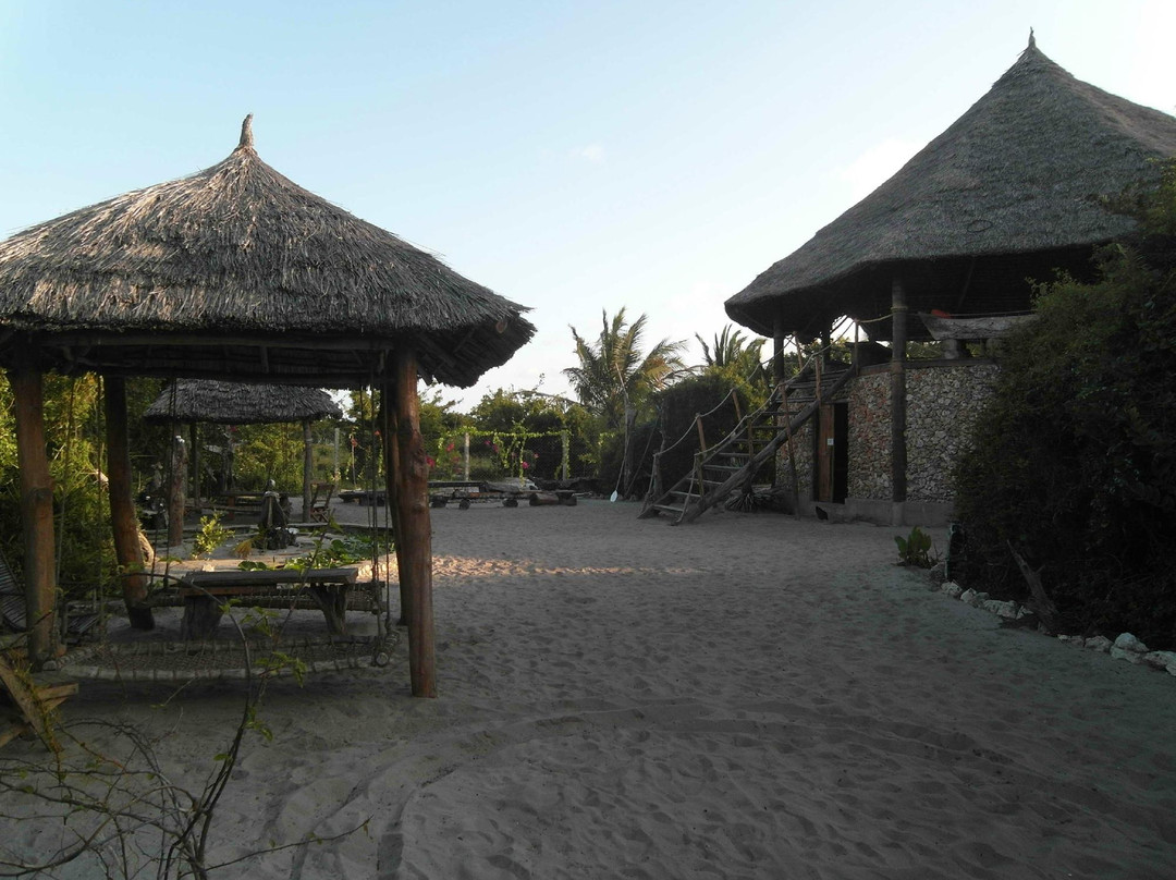 Mida Ecocamp