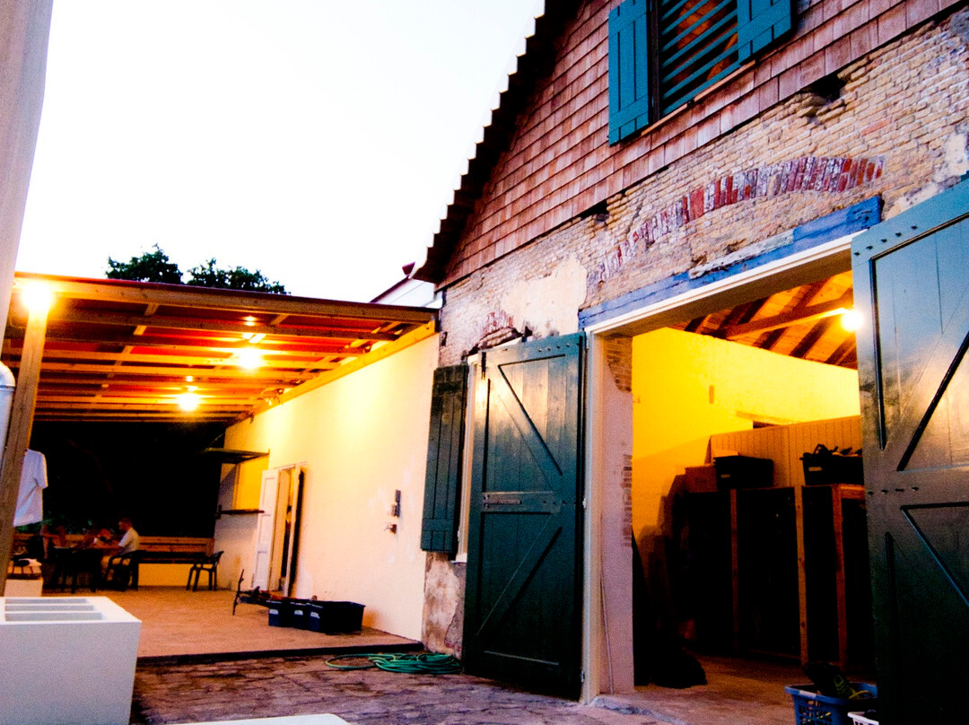 Scubaqua Dive Center-圣尤斯泰希厄斯岛必去景点