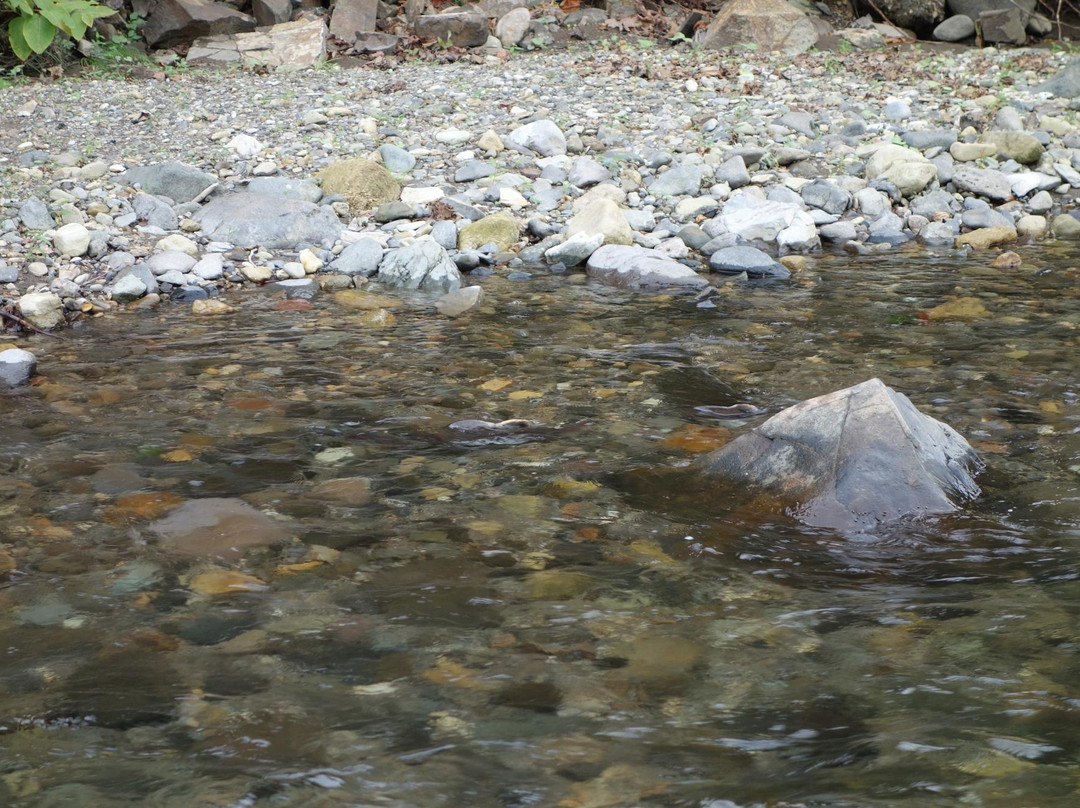 Onnebetsu River-斜里町必去景点