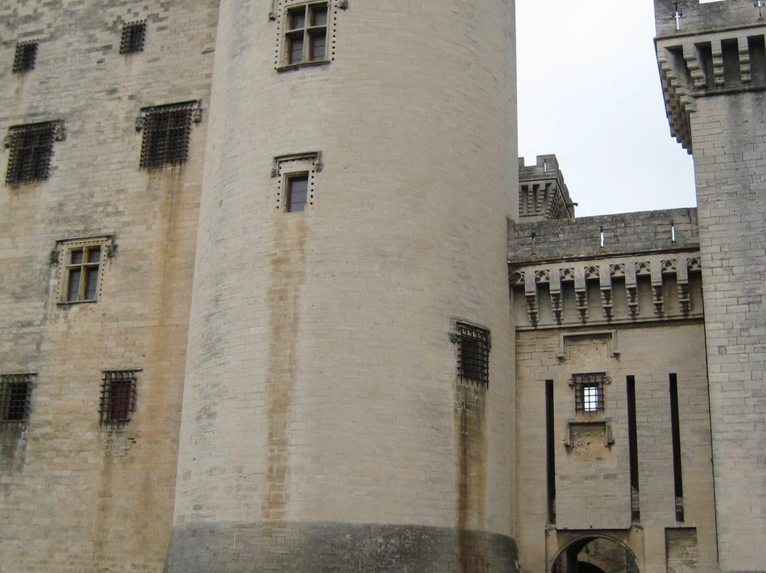 Chateau de Tarascon景点图片