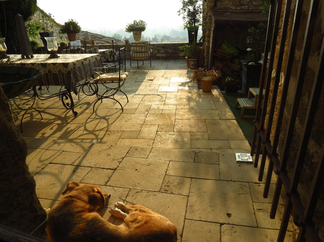 Chateau de Vedene主图