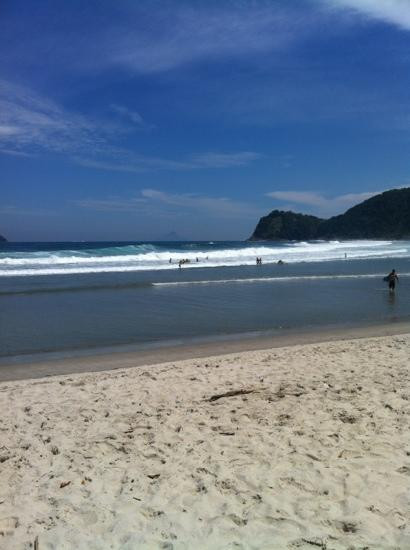 Camburizinho Beach景点图片