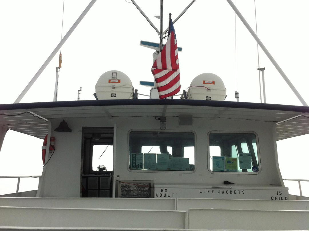 Plymouth to Provincetown  Express Ferry-普利茅斯必去景点