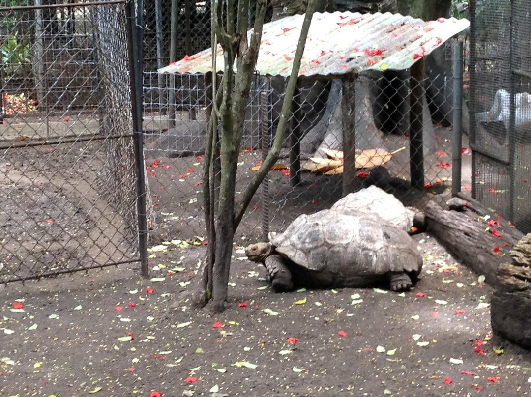 Cushing Zoo-杜梦湾必去景点