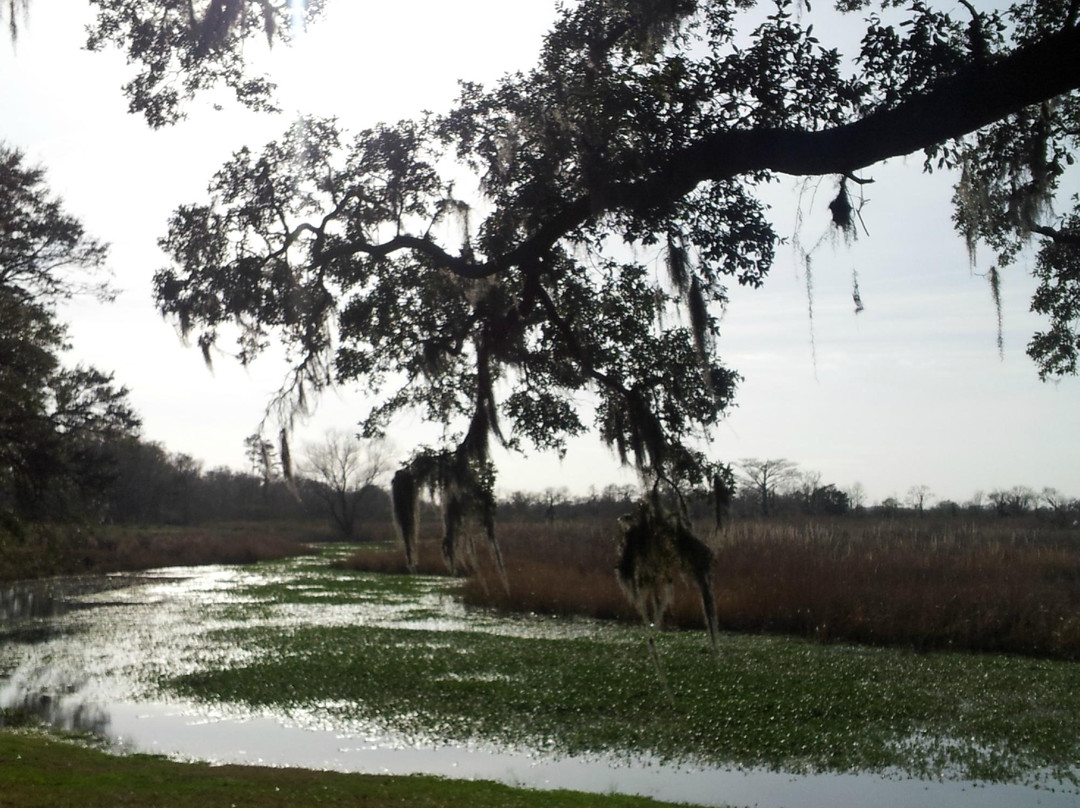 Litchfield Plantation主图