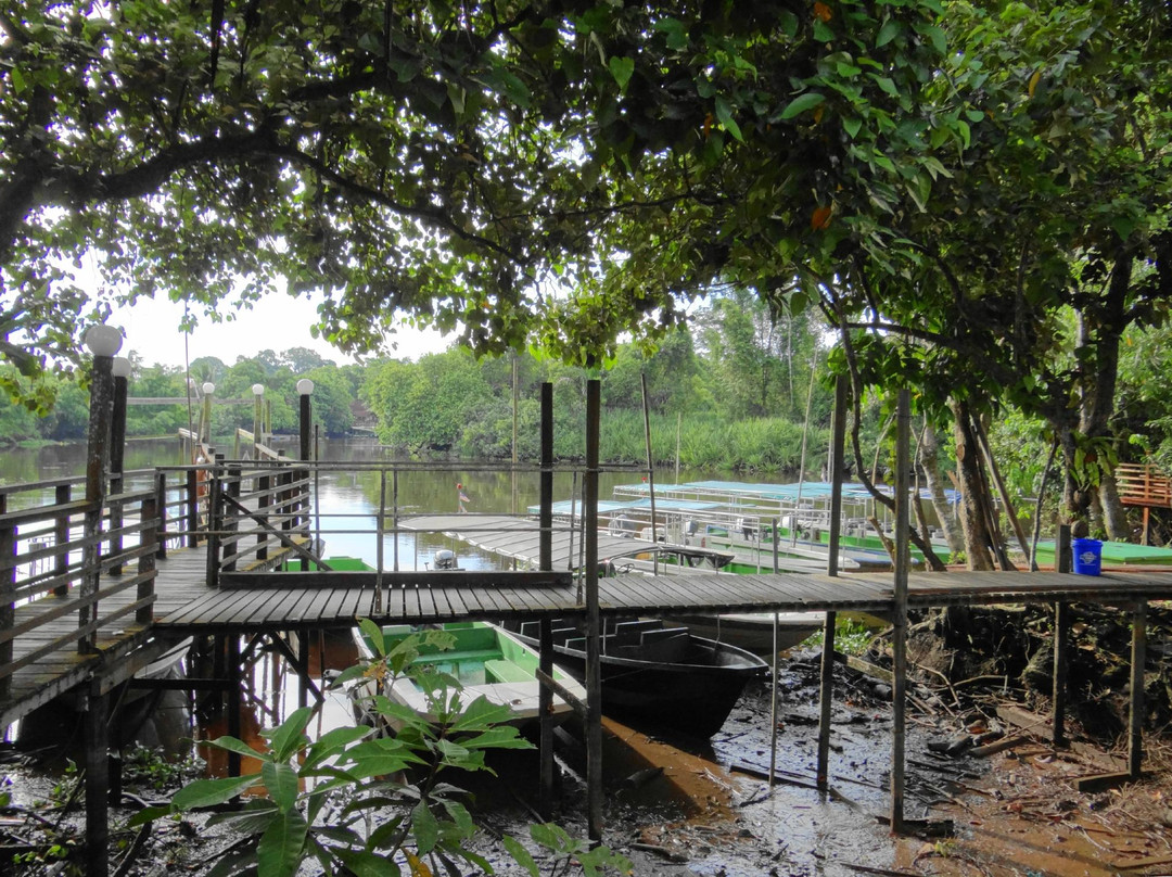 Monkey Tops Safari-Beaufort必去景点