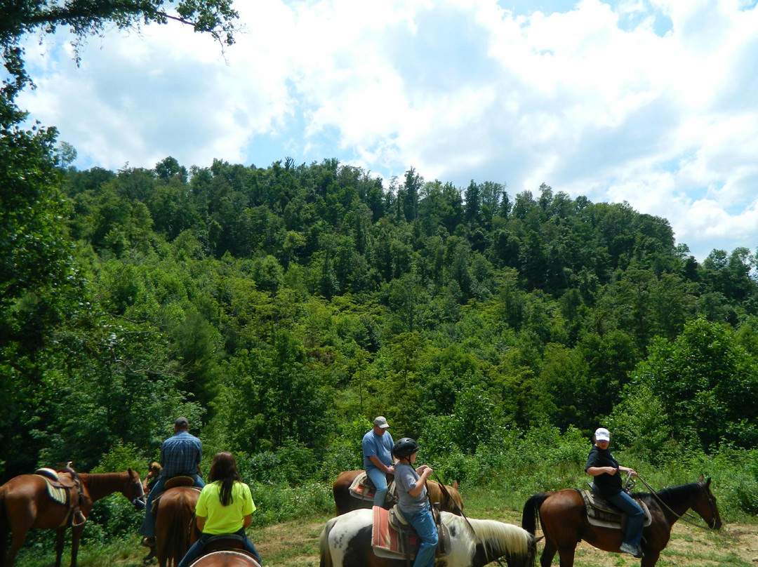 Dutch Creek Trails景点图片
