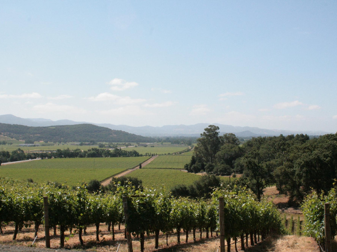 Hartwell Vineyards景点图片