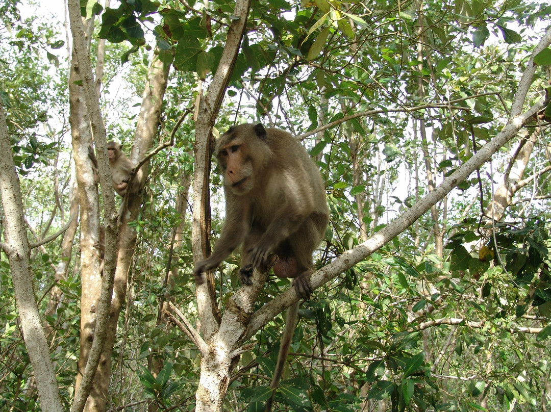 Vam Sat Salt-Marsh Forest Ecological Tourist Center-胡志明市必去景点