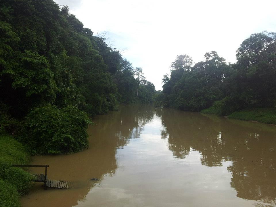 Niah Caves-美里必去景点