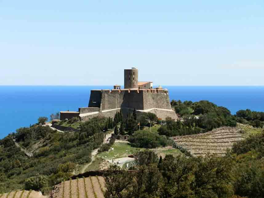 Fort Saint-Elme-科利乌尔必去景点