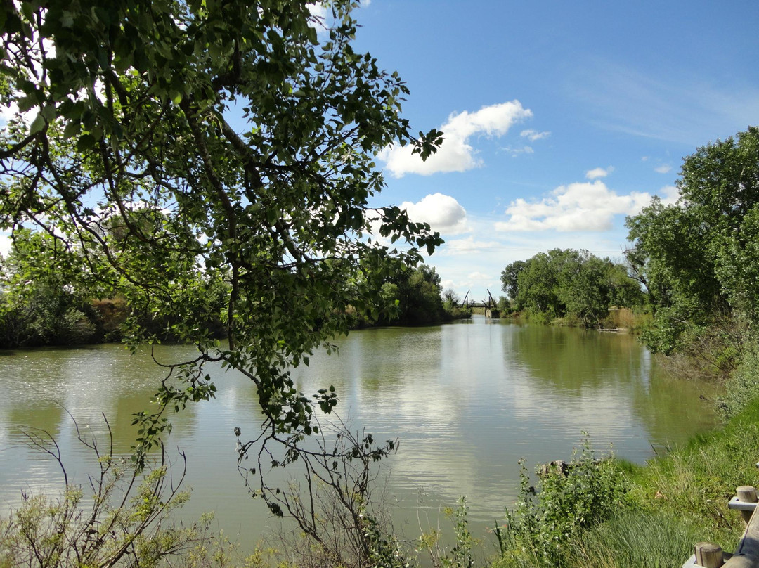 Pont Van-Gogh (Pont de Langlois)-阿尔勒必去景点