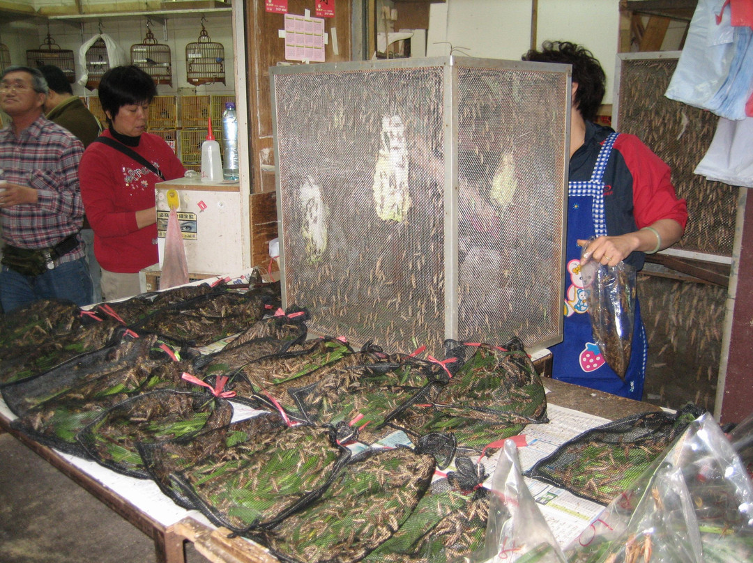 鸟市-香港必去景点