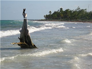 圣卡安生态保护区-金塔纳罗奥州必去景点
