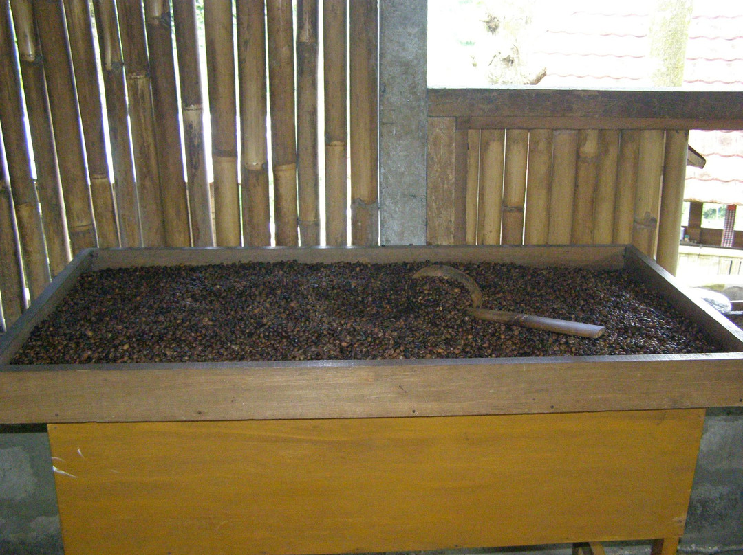 Buana Amertha Sari (BAS)-邦利必去景点