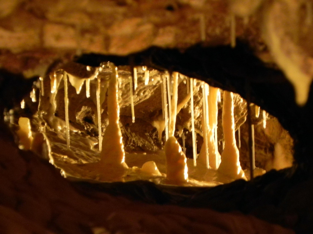 Grottes de Vallorbe-Vallorbe必去景点