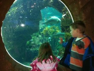 Macduff Marine Aquarium-Macduff必去景点
