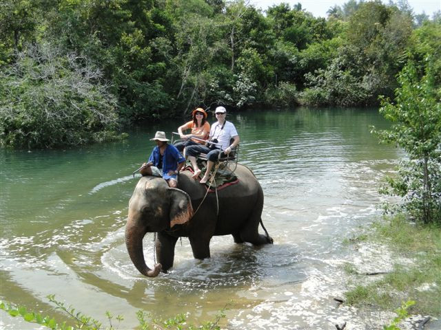 Ban Chang Thai - Elephant Camp景点图片