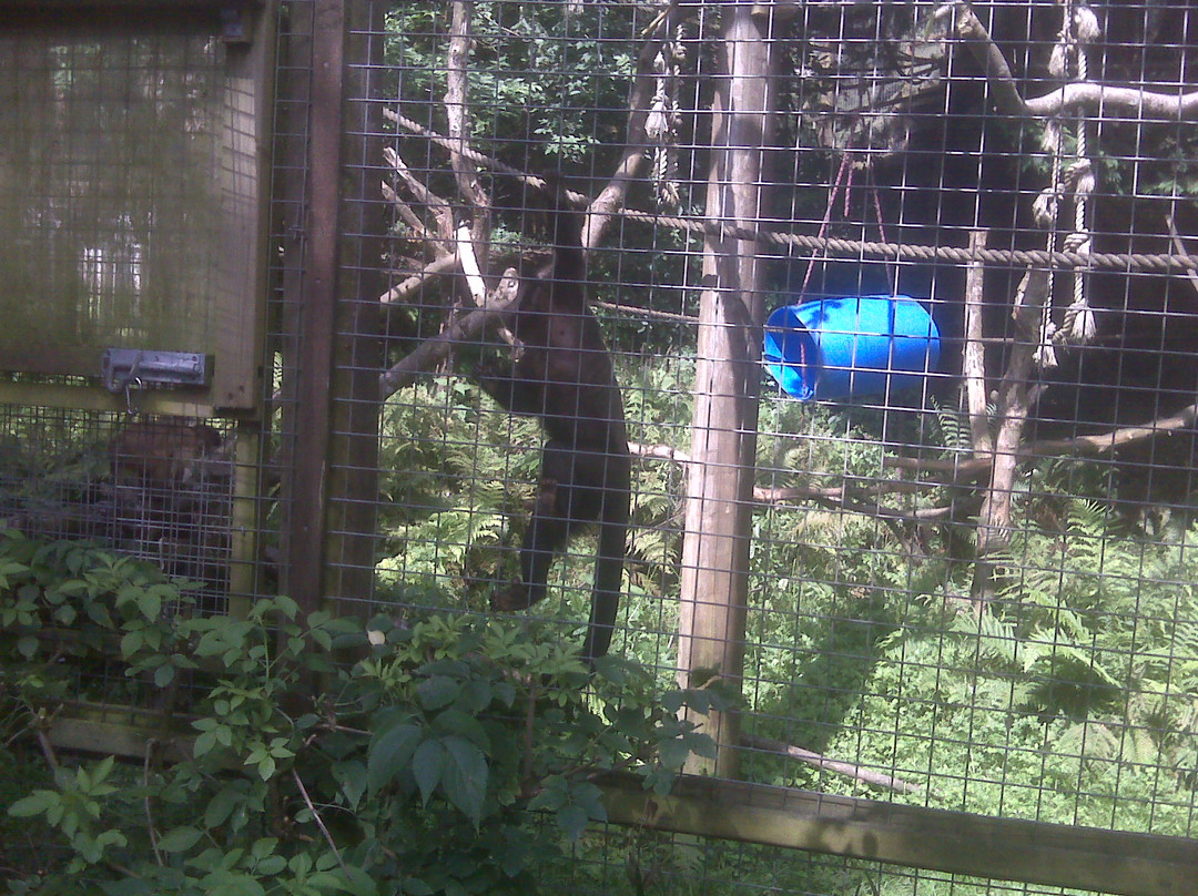 The Monkey Sanctuary-卢城必去景点
