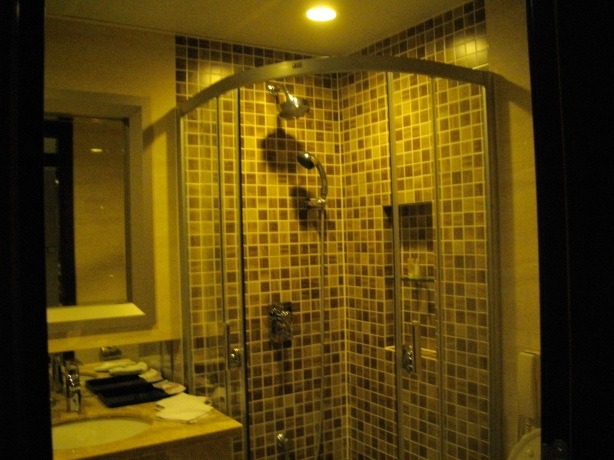 扬州百乐门大酒店-客卧