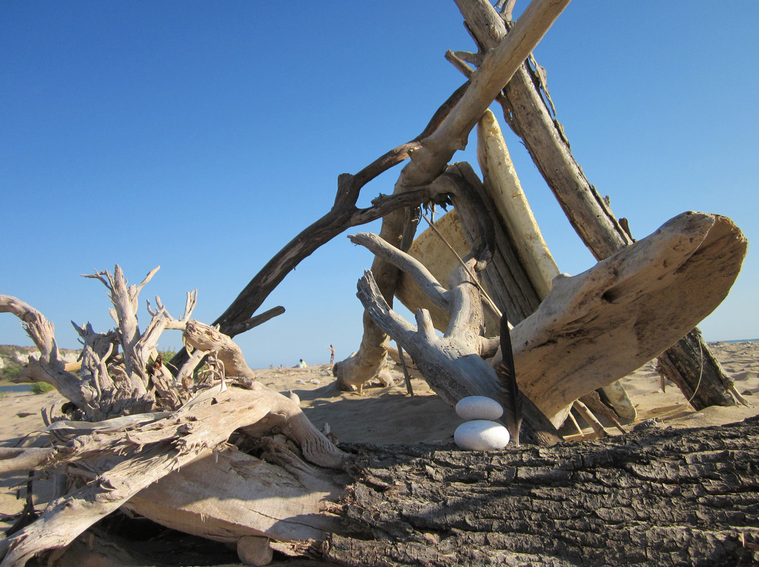 Riserva Naturale Orientata Foce del Fiume Platani-Cattolica Eraclea必去景点
