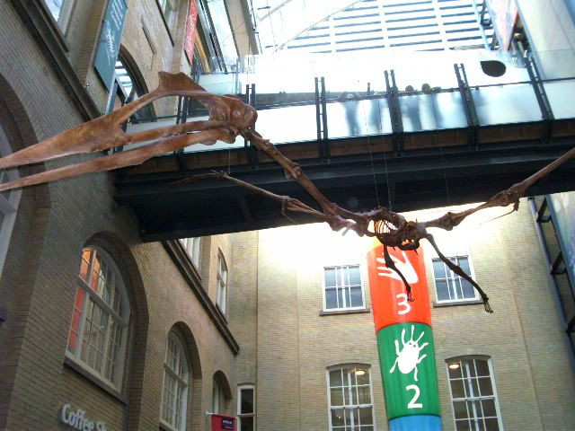 世界博物馆-利物浦必去景点