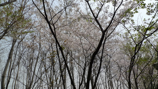 闵行体育公园-上海市必去景点