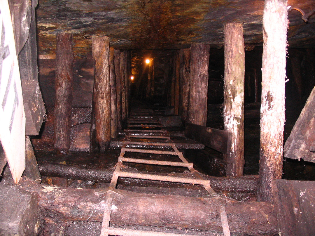 Pioneer Tunnel Coal Mine & Steam Train景点图片