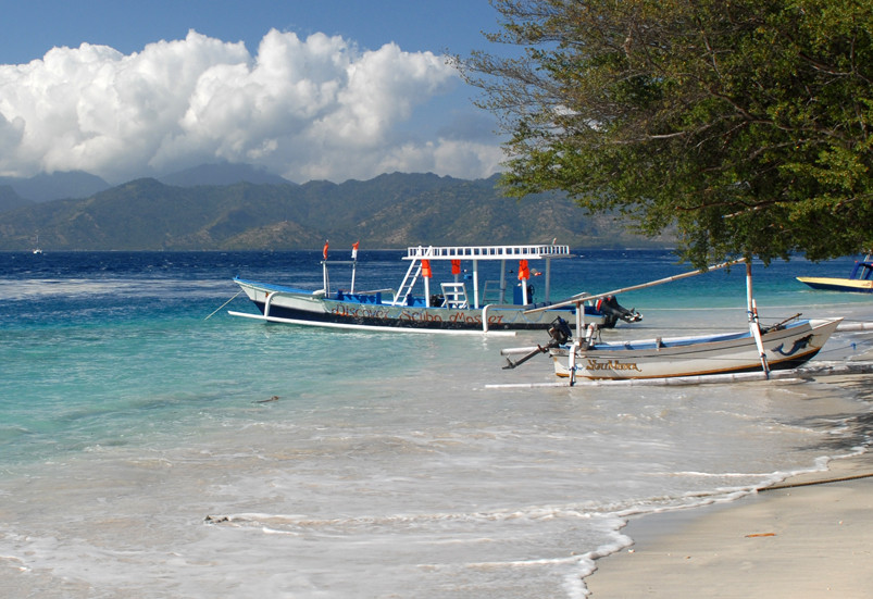 DSM Dive - Gili Trawangan景点图片