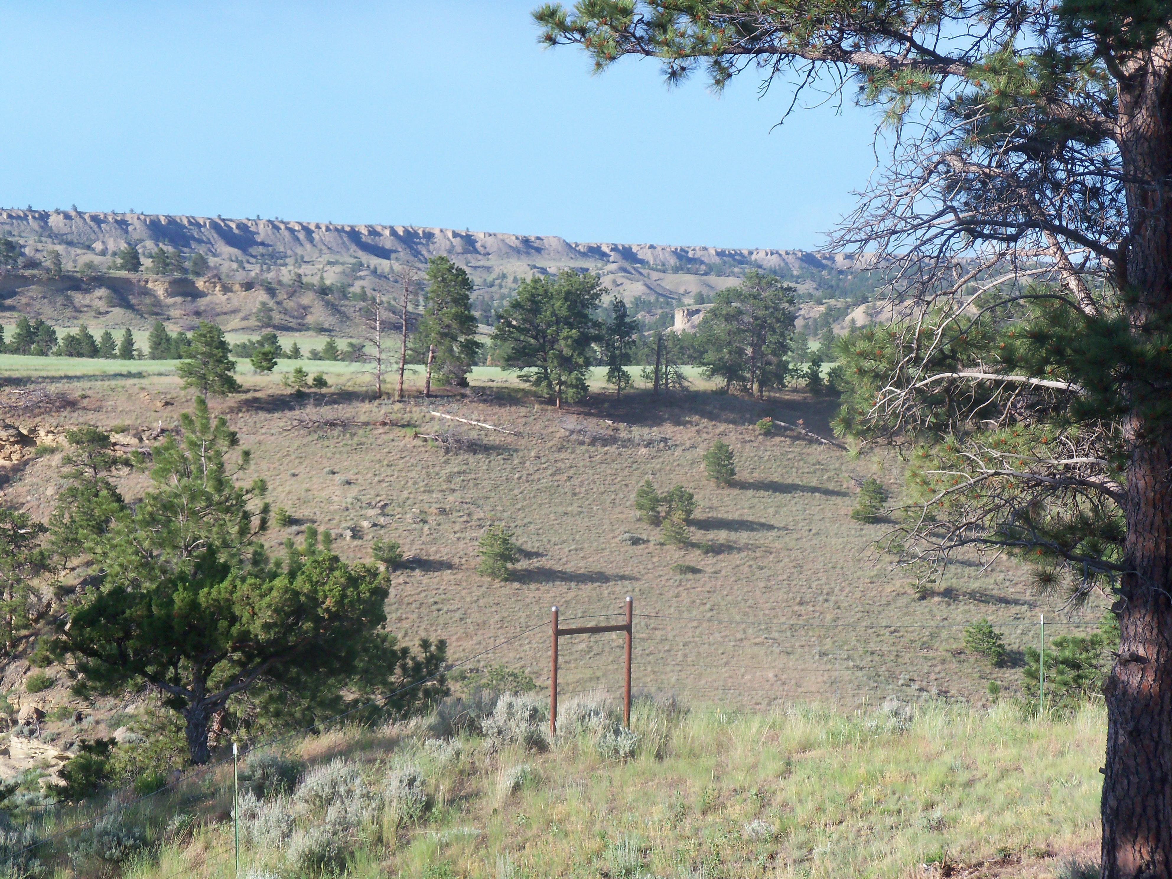 V Lazy B Bed and Breakfast and Horse Motel-酒店景观