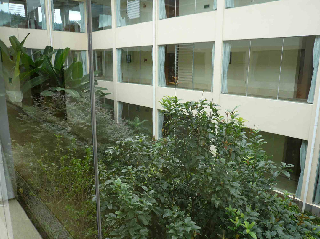 空港观光酒店主图