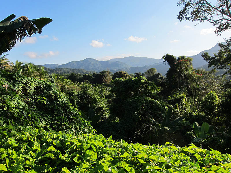 Yunque Ziplining-Luquillo必去景点