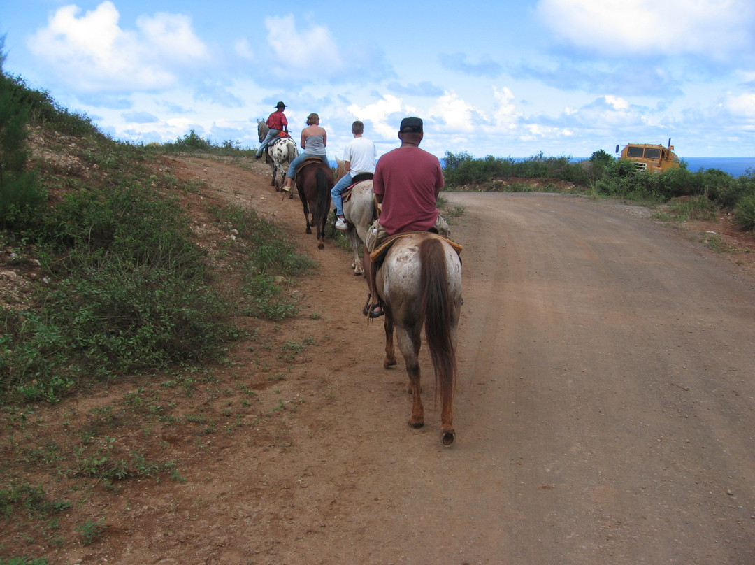 Circle M Ranch-怀露库必去景点