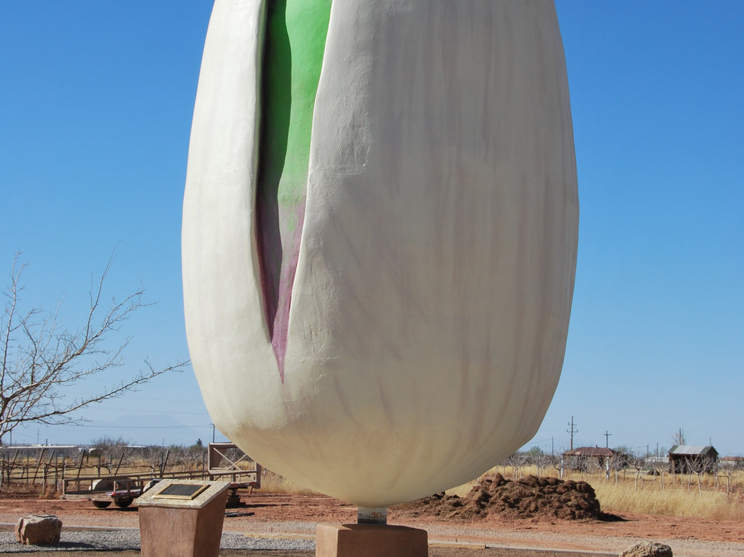 McGinn's PistachioLand-阿拉莫戈多必去景点