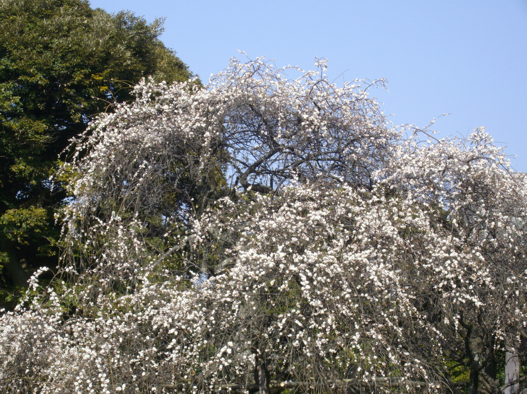 Hokaiji Temple景点图片