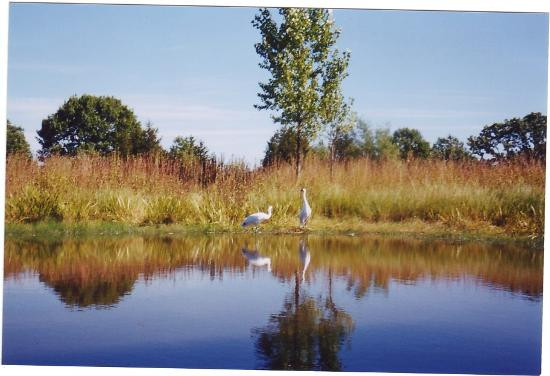 International Crane Foundation-巴拉布必去景点