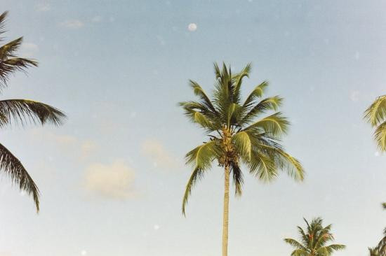 Sapphire Beach-East End必去景点