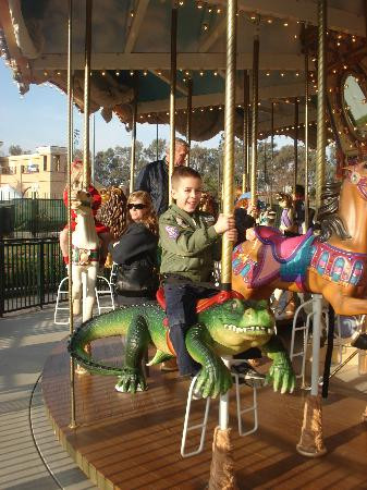 Nut Tree Family Park-瓦卡维尔必去景点