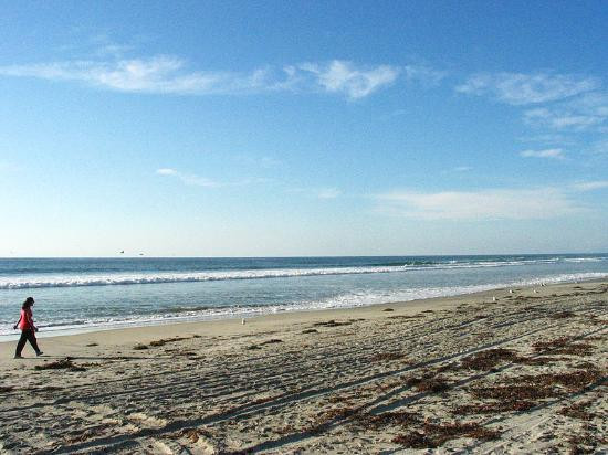Torrey Pines State Beach-圣地亚哥必去景点