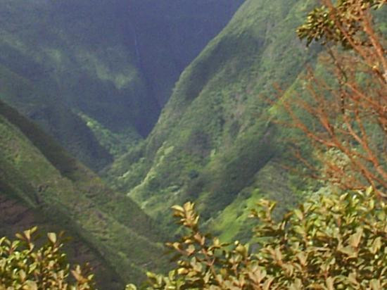 Circle M Ranch-怀露库必去景点