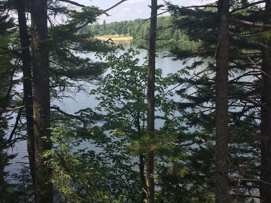 Killarney Lake Park Trail景点图片