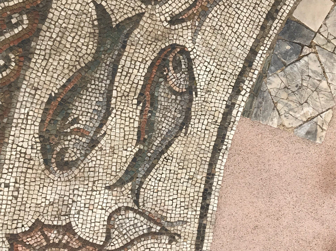Mosaico Tardoantico-特雷维索必去景点