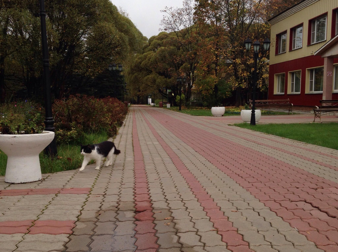 Sosnoviy Bor