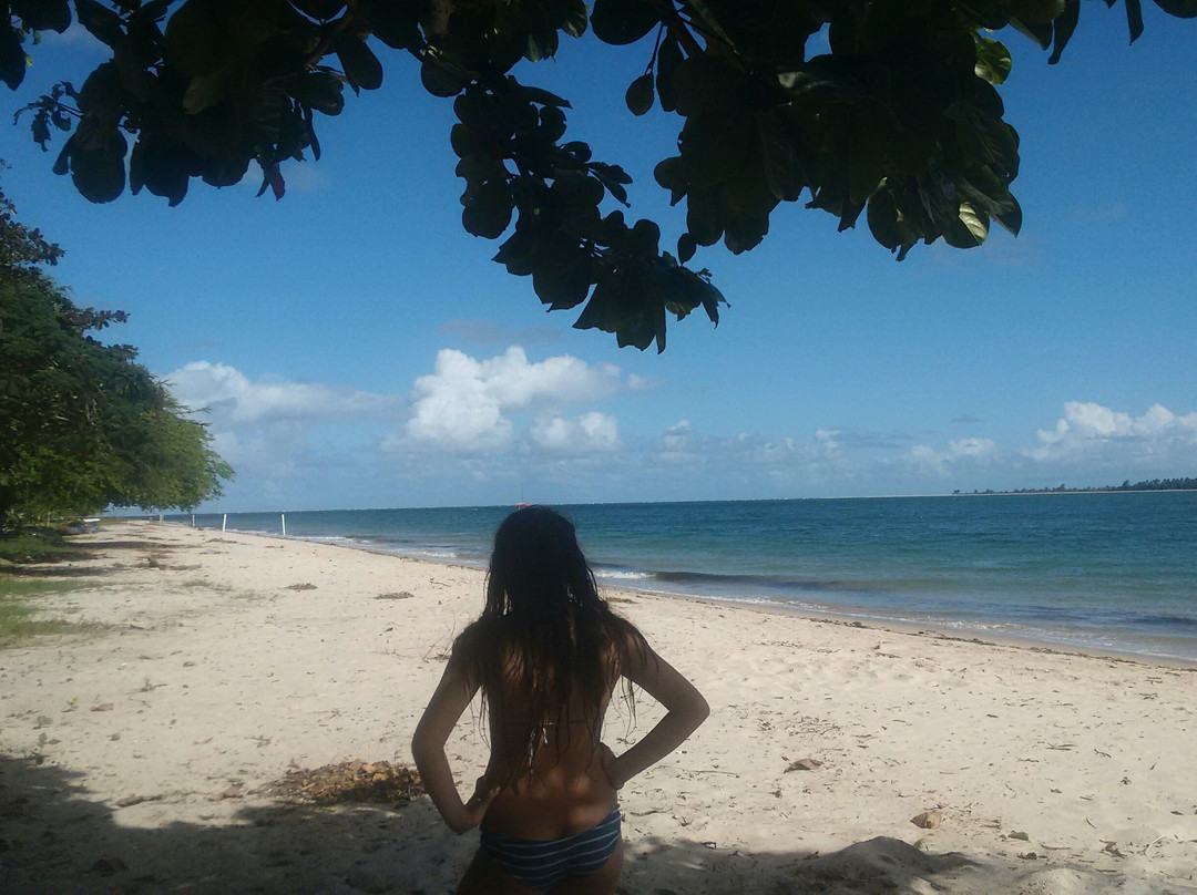 Praia de Cacha Pregos景点图片
