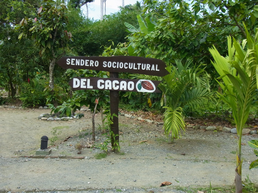 Moa餐馆和美食-Duaba