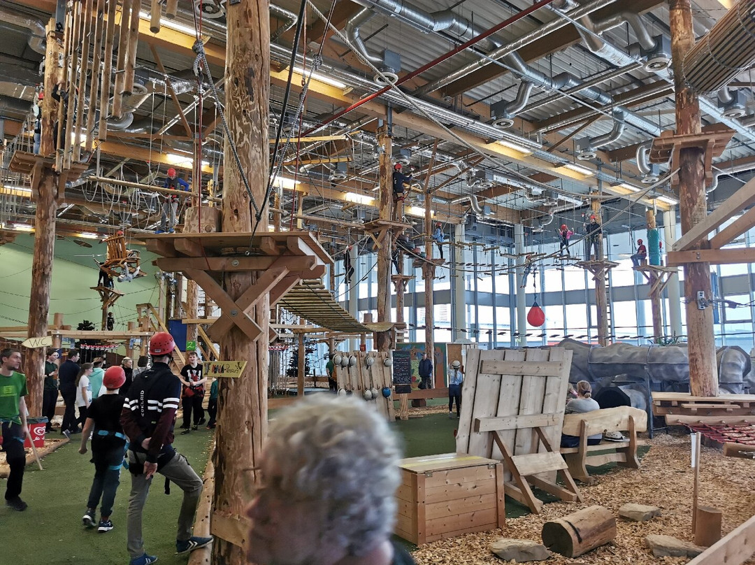 Indoor Kletterwald