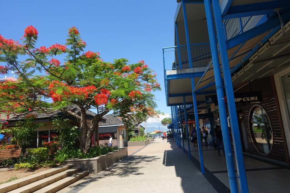 Port Denarau Marina景点图片