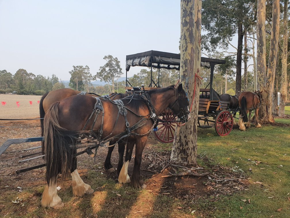 Hunter Valley Horseriding and Adventures景点图片