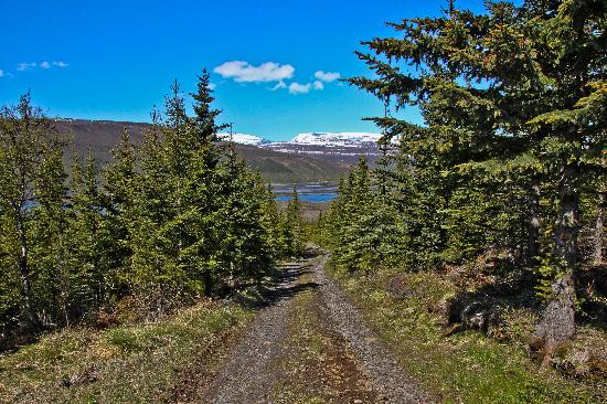 Grenjadarstadur酒店住宿-鲁达斯奇达宾客酒店